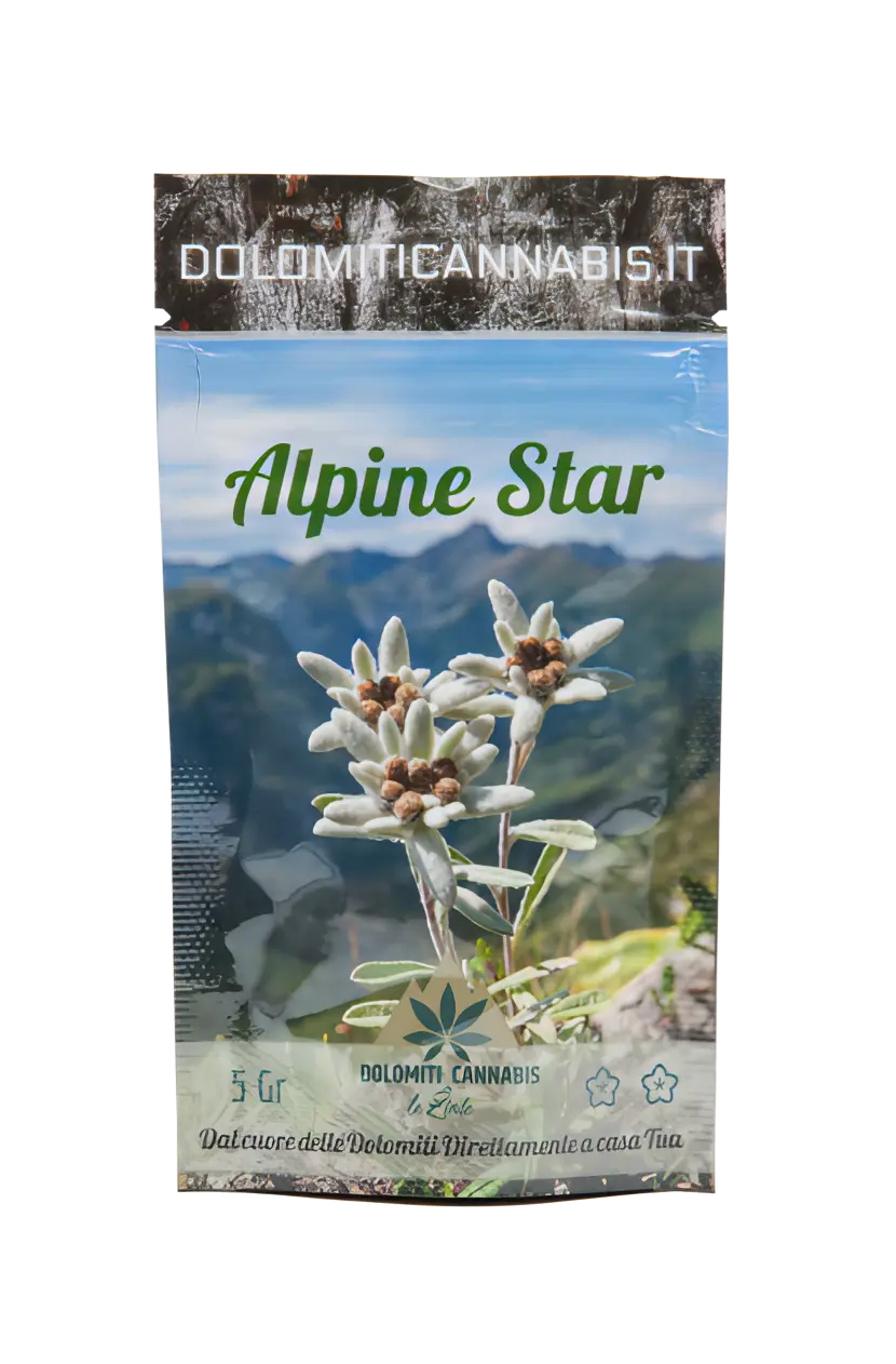 Canapa Light Alpine Star CBD DolomitiCannabis