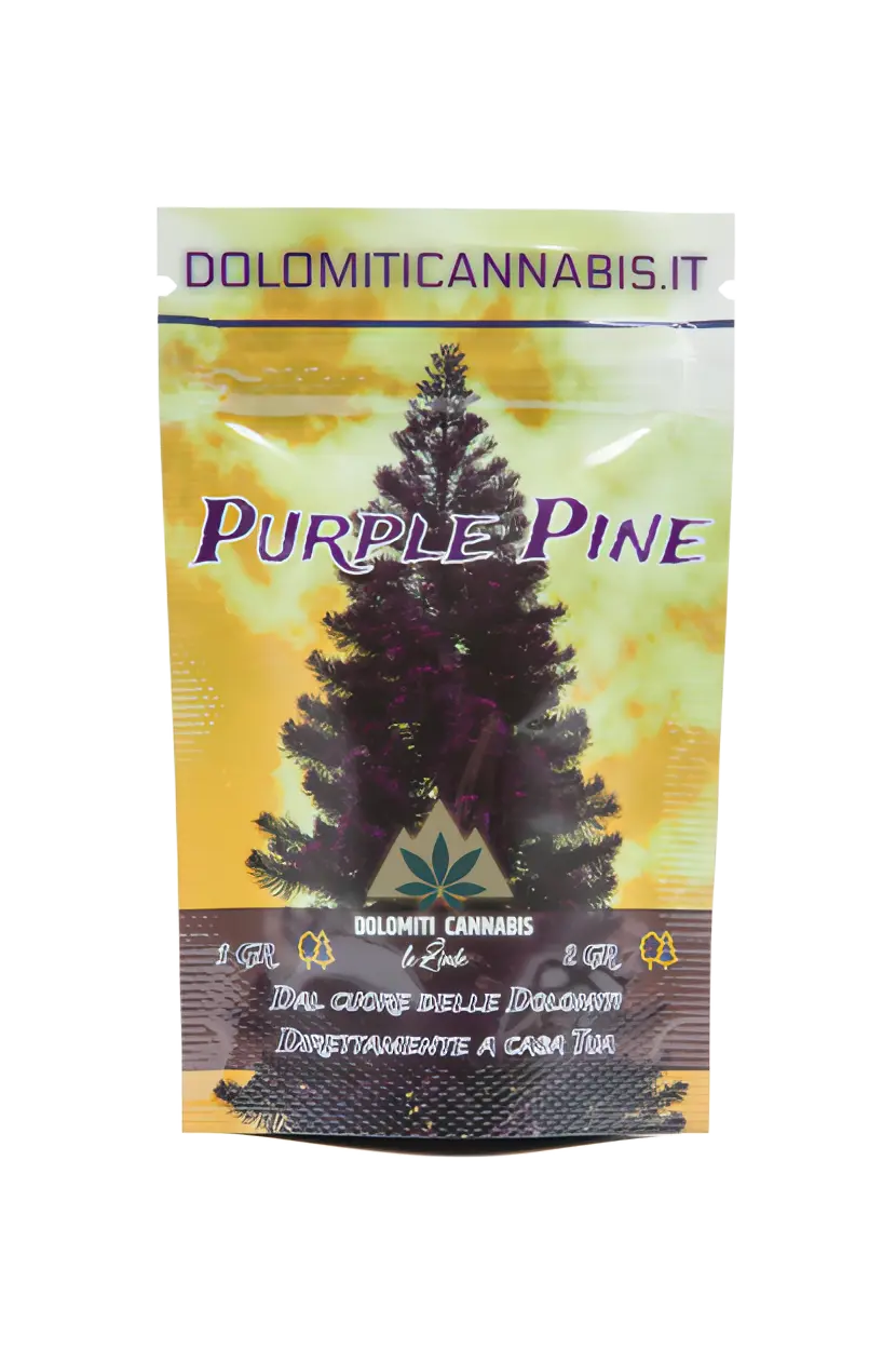 Canapa Light Purple Pine CBD DolomitiCannabis