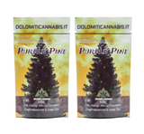 Canapa Light Purple Pine CBD DolomitiCannabis