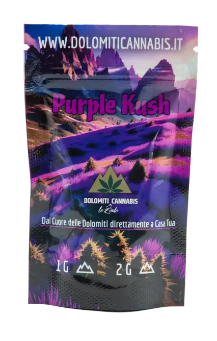 Cannabis Light Purple Kush Erba Legale - CBD Shop - DolomitiCannabis