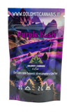 Cannabis Light Purple Kush Erba Legale - CBD Shop - DolomitiCannabis