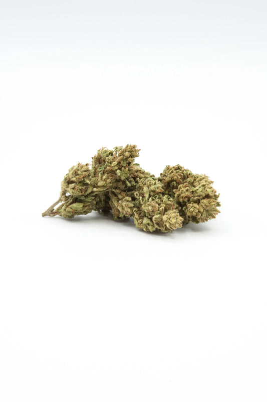 Cannabis Light, Vendita Marijuana legale e erba, Specialista della Canapa